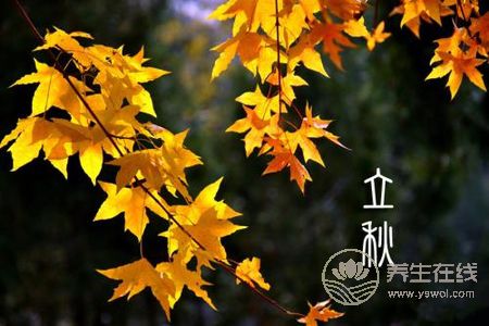 2019年立秋哪一天?立秋進補的禁忌有哪些?-易網(wǎng)<a href=http://www.xllyou.com/ target=_blank class=infotextkey>健康養(yǎng)生</a>網(wǎng) 2019年立秋哪一天?立秋進補的禁忌有哪些?