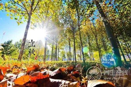 立秋由來是什么?立秋立秋養生食譜有哪些?-易網健康養生網 立秋由來是什么?立秋立秋養生食譜有哪些?