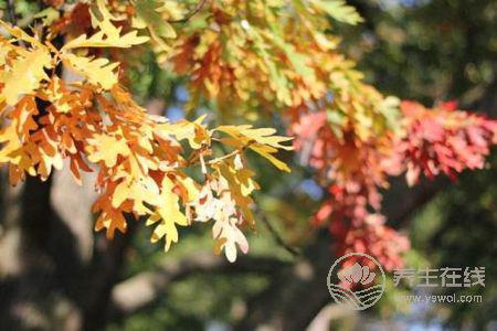 立秋后天氣還要熱多久?