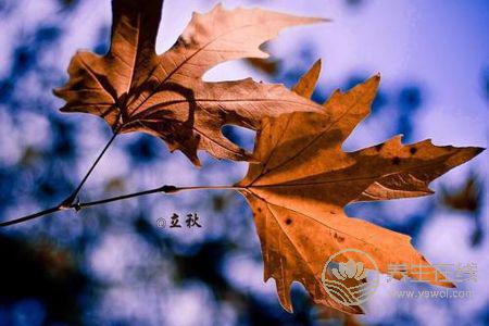 立秋節(jié)氣吃什么?立秋短信祝福語(yǔ)有哪些?-易網(wǎng)<a href=http://www.xllyou.com/ target=_blank class=infotextkey>健康養(yǎng)生</a>網(wǎng) 立秋節(jié)氣吃什么?立秋短信祝福語(yǔ)有哪些?