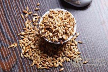 立秋吃什么好?立秋養生食療粥有哪些?