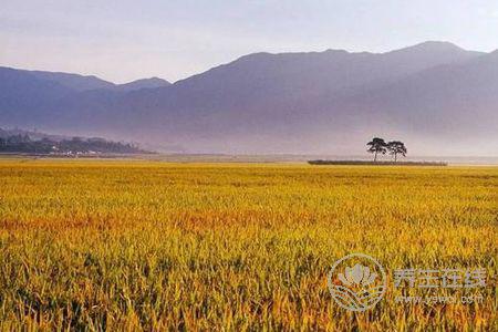 立秋由來是什么?立秋立秋養生食譜有哪些?-易網<a href=http://www.xllyou.com/ target=_blank class=infotextkey>健康養生</a>網 立秋由來是什么?立秋立秋養生食譜有哪些?