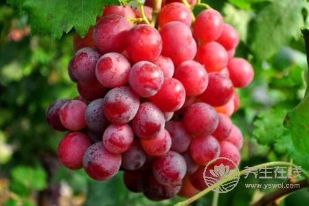 立秋節(jié)氣吃什么食物?立秋后的食譜有哪些?-易網(wǎng)健康養(yǎng)生網(wǎng) 立秋節(jié)氣吃什么食物?立秋后的食譜有哪些?