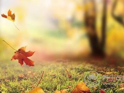 立秋時間是啥時候?立秋如何養生?