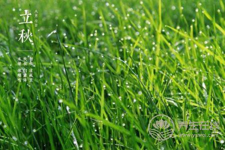 立秋是什么時候?秋補需要注意什么?