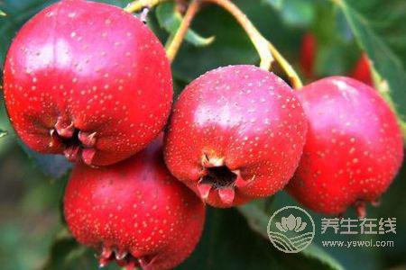 立秋如何養生保健呢?立秋吃什么好?