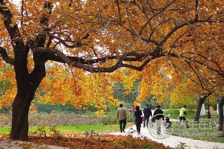 立秋養生禁忌有哪些?立秋吃什么不能吃什么?-易網<a href=http://www.xllyou.com/ target=_blank class=infotextkey>健康養生</a>網 立秋養生禁忌有哪些?立秋吃什么不能吃什么?