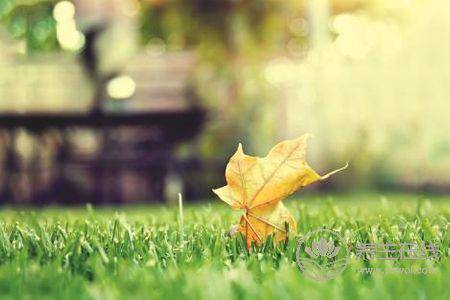 立秋吃什么養(yǎng)生?立秋養(yǎng)生食物有哪些?