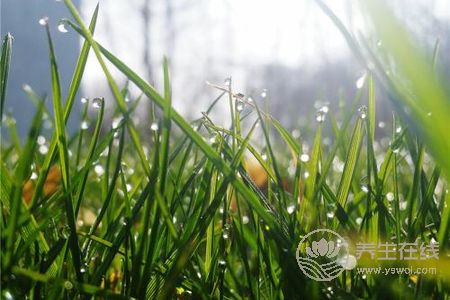 2019年處暑是幾月幾日?處暑的由來是什么?-易網健康養生網 2019年處暑是幾月幾日?處暑的由來是什么?