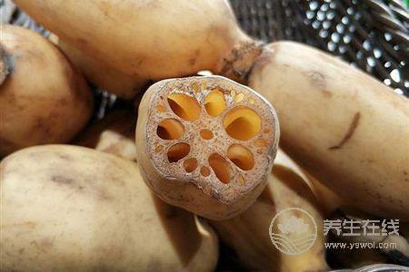 為什么處暑吃蓮藕?處暑吃蓮藕功效有哪些?