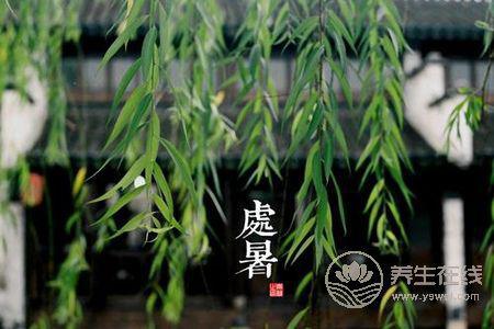 處暑節氣的含義是什么?處暑后就涼快了嗎?