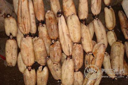 為什么處暑吃蓮藕?處暑吃蓮藕功效有哪些?