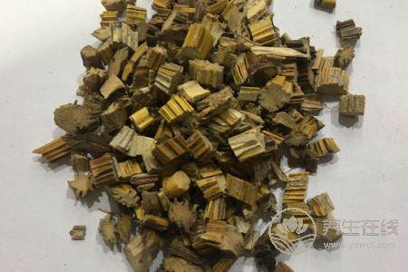 處暑養(yǎng)生適合吃哪些中藥呢?處暑養(yǎng)生注意事項(xiàng)有哪些?