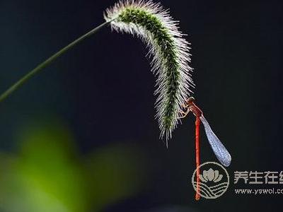 處暑節(jié)氣的含義是什么?處暑后就涼快了嗎?