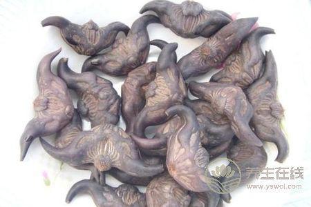 中秋節養生保健應該注意什么?中秋節飲食禁忌有哪些?-易網健康養生網 中秋節養生保健應該注意什么?中秋節飲食禁忌有哪些?