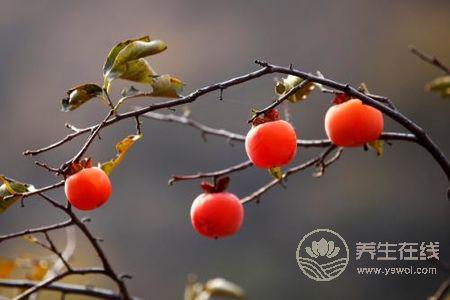 秋分吃什么水果?秋分養生的食療方有哪些?