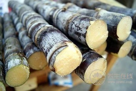 秋季養肺潤肺的方法有哪些?秋季潤肺的偏方有哪些?-易網<a href=http://www.xllyou.com/ target=_blank class=infotextkey>健康養生</a>網 秋季養肺潤肺的方法有哪些?秋季潤肺的偏方有哪些?