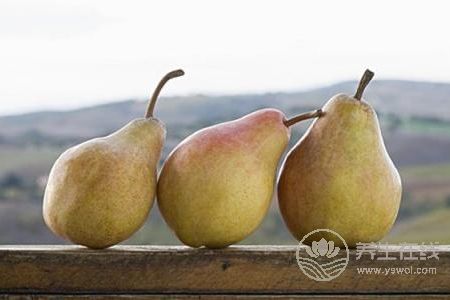 秋季養肺潤肺的方法有哪些?秋季潤肺的偏方有哪些?-易網健康<a href=http://www.xllyou.com/jkys/ target=_blank class=infotextkey>養生</a>網 秋季養肺潤肺的方法有哪些?秋季潤肺的偏方有哪些?