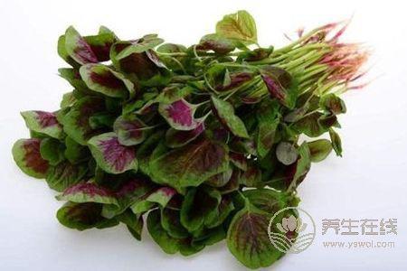 秋季血壓高吃哪些食物好?秋季常見降壓菜有哪些?