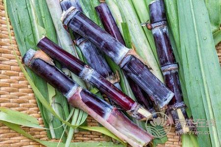 秋季咽炎吃什么?秋季咽炎發作原因是什么?-易網<a href=http://www.xllyou.com/ target=_blank class=infotextkey>健康養生</a>網 秋季咽炎吃什么?秋季咽炎發作原因是什么?