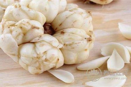 秋季兒童清肺吃什么?秋季兒童清肺食譜有哪些?