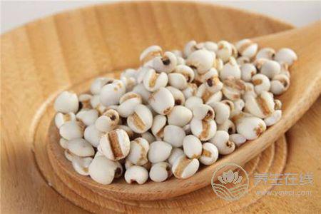 秋季養生吃什么粗糧呢?秋季養生食譜有哪些?