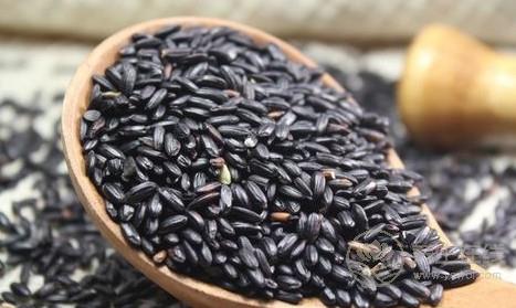 18美食治初秋心煩失眠-易網(wǎng)健康養(yǎng)生網(wǎng) 18美食治初秋心煩失眠