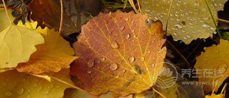 秋分談<a href=http://www.xllyou.com/jkys/ target=_blank class=infotextkey>養(yǎng)生</a> 如何度過“多事之秋”-易網(wǎng)<a href=http://www.xllyou.com/ target=_blank class=infotextkey>健康養(yǎng)生</a>網(wǎng) 秋分談養(yǎng)生 如何度過“多事之秋”