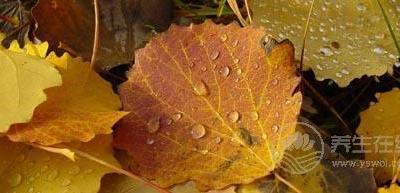 秋分談養(yǎng)生 如何度過“多事之秋”