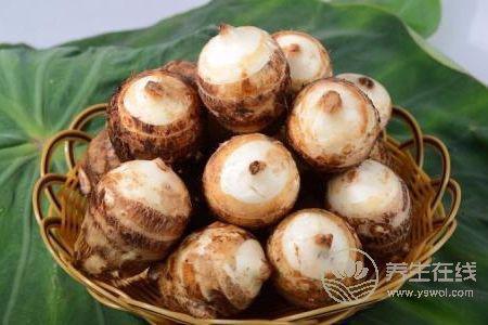 寒露養(yǎng)生吃什么菜?寒露養(yǎng)生食譜有哪些?