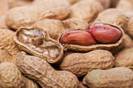 寒露吃什么食物養(yǎng)生?寒露時令食物有哪些?