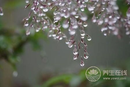 寒露的來歷是什么?寒露節氣如何養生?-易網<a href=http://www.xllyou.com/ target=_blank class=infotextkey>健康養生</a>網 寒露的來歷是什么?寒露節氣如何養生?