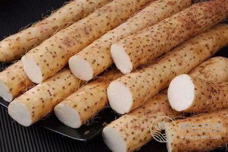 寒露種什么蔬菜?寒露節氣有哪些飲食習俗?-易網健康養生網 寒露種什么蔬菜?寒露節氣有哪些飲食習俗?