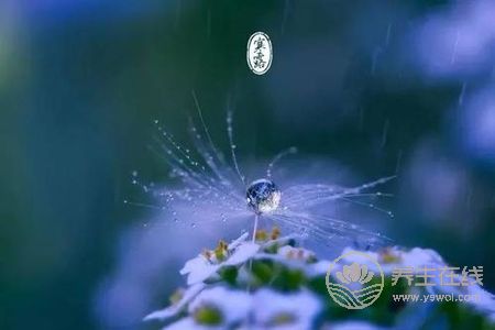 寒露的來歷是什么?寒露節氣如何養生?-易網健康養生網 寒露的來歷是什么?寒露節氣如何養生?