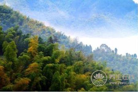 寒露節氣預防哪些疾病?寒露節氣預防疾病方法是什么?-易網健康養生網 寒露節氣預防哪些疾病?寒露節氣預防疾病方法是什么?