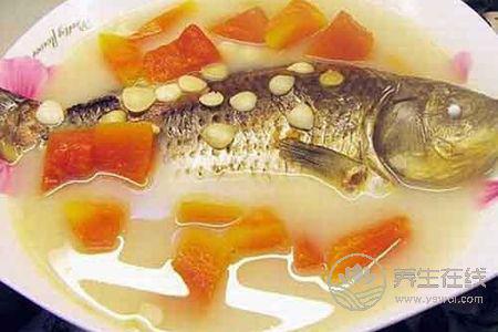 寒露后適合煲什么湯水?寒露時節如何養生?