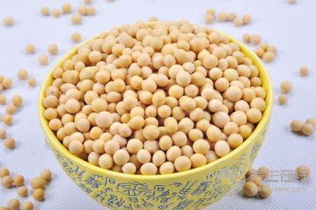 寒露節鴨子吃法是什么?寒露節吃鴨子的食譜有哪些?