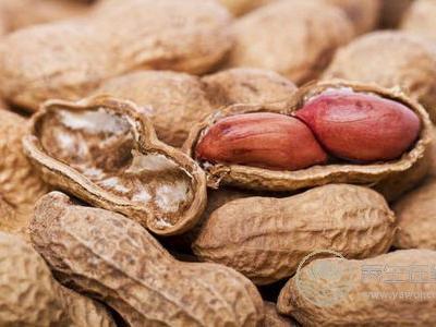 寒露吃什么食物養生?寒露時令食物有哪些?