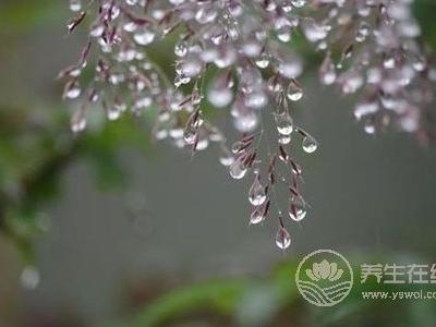 春季養(yǎng)生喝什么湯 花旗參烏雞湯補(bǔ)血