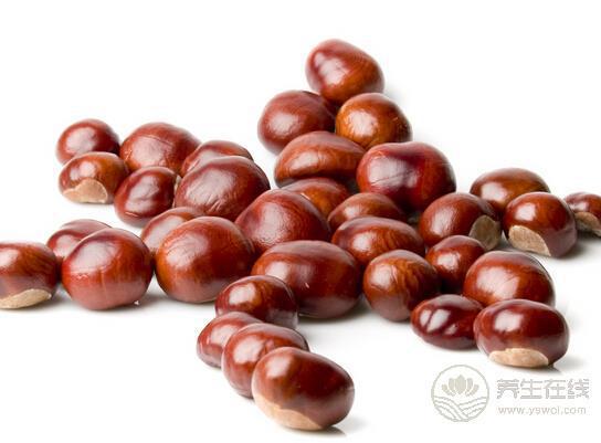 秋冬換季之時食用栗子進補尤為適宜