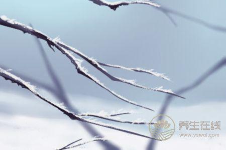 霜降的民俗活動(dòng)有哪些?霜降是第幾個(gè)節(jié)氣?