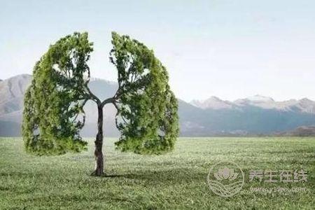 霜降如何養(yǎng)生?霜降時節(jié)如何養(yǎng)肺?