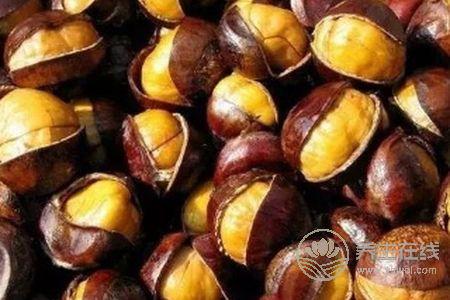 霜降養(yǎng)生吃板栗好嗎?霜降吃板栗的功效是什么?-易網(wǎng)健康養(yǎng)生網(wǎng) 霜降養(yǎng)生吃板栗好嗎?霜降吃板栗的功效是什么?
