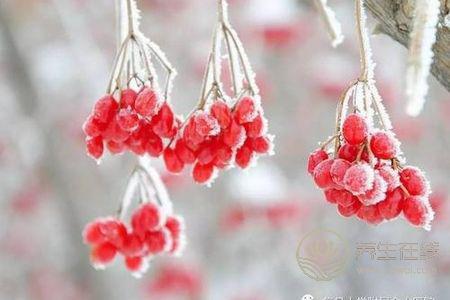 霜降要預(yù)防哪些疾病?霜降預(yù)防皮膚疾病方法是什么?-易網(wǎng)<a href=http://www.xllyou.com/ target=_blank class=infotextkey>健康養(yǎng)生</a>網(wǎng) 霜降要預(yù)防哪些疾病?霜降預(yù)防皮膚疾病方法是什么?