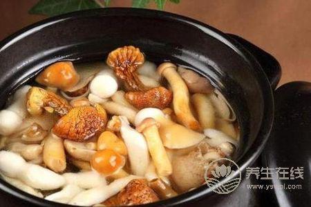 霜降有哪些養生食譜?霜降菌菇食療方有哪些?