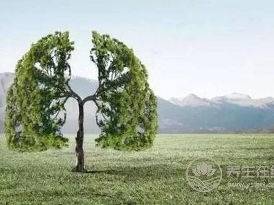 霜降如何養(yǎng)生?霜降時(shí)節(jié)如何養(yǎng)肺?