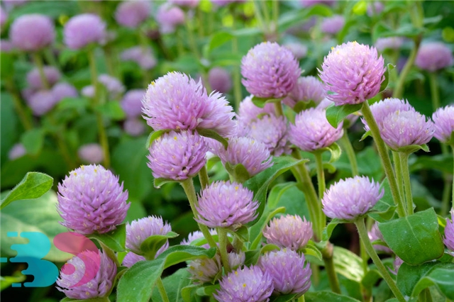 春季養生的禁忌有哪些？春季養生有哪些好方法？