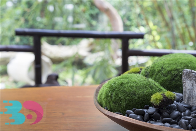 春季養生的禁忌有哪些？春季養生有哪些好方法？