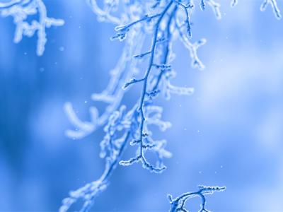 12月應(yīng)季的水果蔬菜有哪些?12月養(yǎng)生你要知道這些