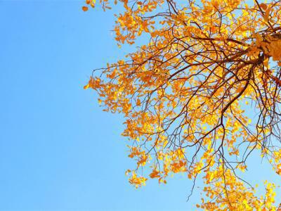 如何預防秋老虎？秋老虎時期吃什么好？